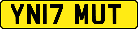 YN17MUT