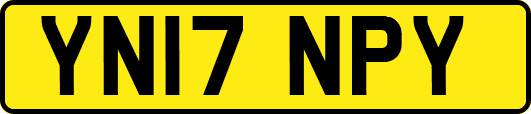 YN17NPY