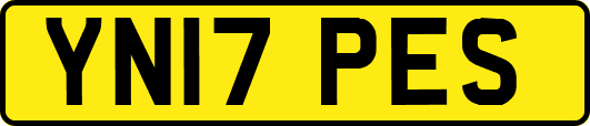 YN17PES