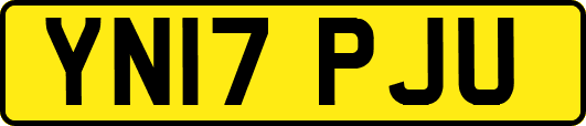 YN17PJU