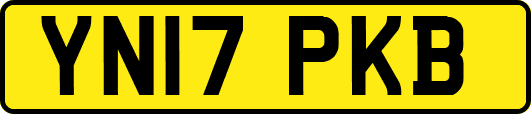 YN17PKB