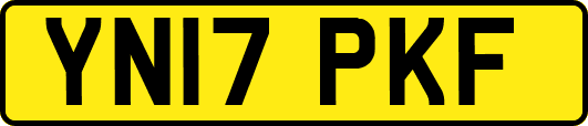 YN17PKF