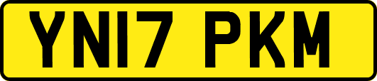 YN17PKM