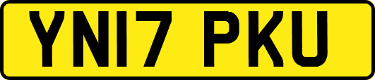 YN17PKU