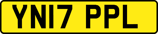YN17PPL