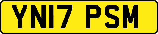 YN17PSM