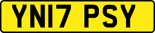 YN17PSY