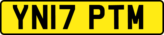 YN17PTM