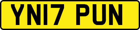 YN17PUN