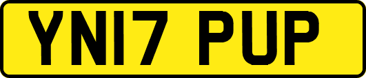 YN17PUP