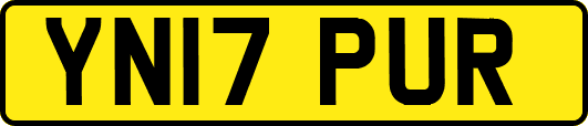 YN17PUR