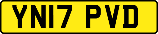 YN17PVD