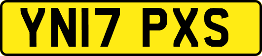 YN17PXS