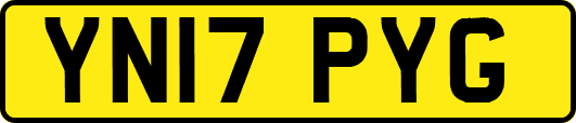 YN17PYG