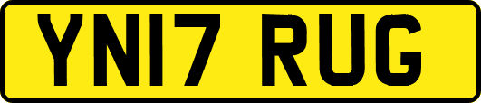 YN17RUG