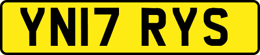 YN17RYS