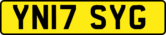 YN17SYG