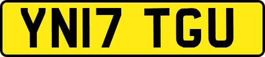 YN17TGU