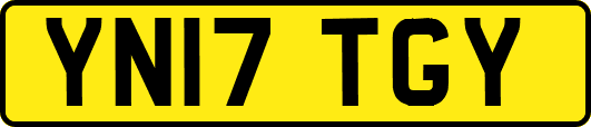 YN17TGY