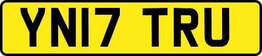 YN17TRU