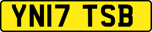YN17TSB