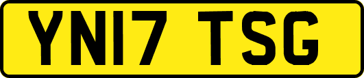 YN17TSG