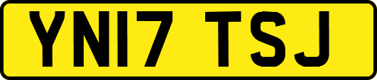 YN17TSJ