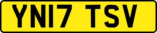 YN17TSV