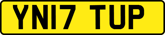 YN17TUP