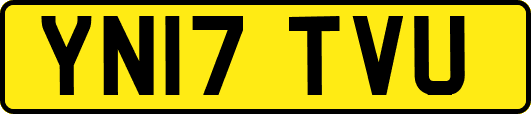 YN17TVU