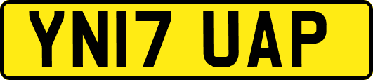 YN17UAP