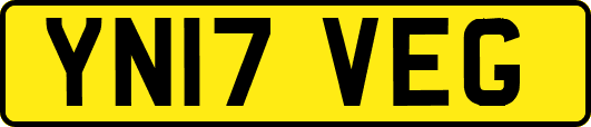 YN17VEG