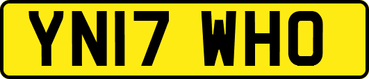 YN17WHO