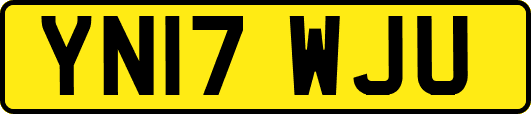 YN17WJU