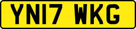 YN17WKG
