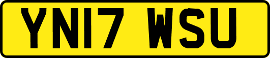 YN17WSU