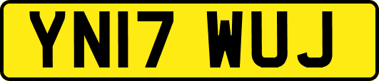 YN17WUJ