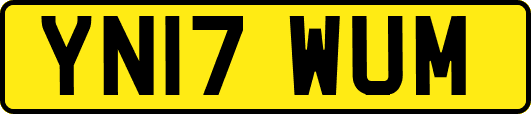 YN17WUM