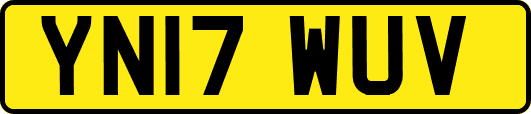 YN17WUV