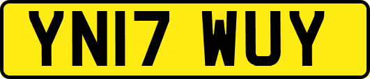 YN17WUY
