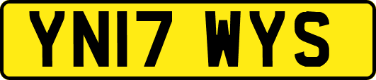 YN17WYS