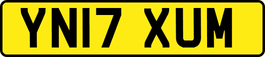 YN17XUM