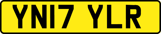 YN17YLR