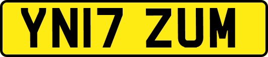 YN17ZUM