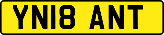 YN18ANT