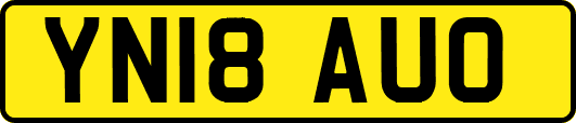 YN18AUO
