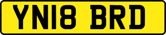 YN18BRD