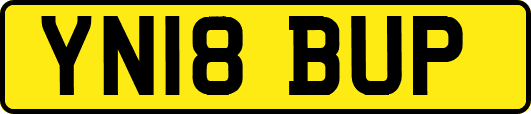 YN18BUP