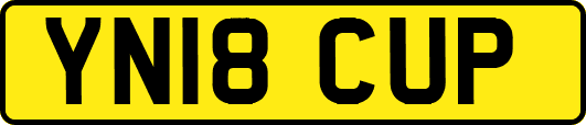 YN18CUP
