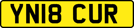 YN18CUR